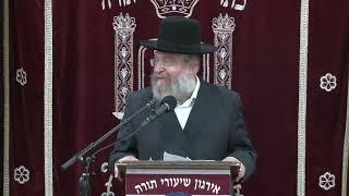 Being There For Ourselves, Our Children & Others - Rabbi Fishel Schachter Shlita