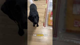 You gotta pay the tax 