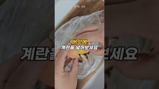 당신만 몰랐던 시식 코너 버섯볶음의 비밀