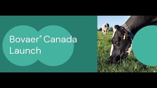 Bovaer® Canada Launch:  A dsm-firmenich Webinar