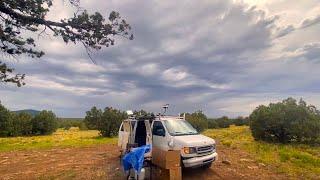 Pines, Wildlife, and Van Life: A Journey Beyond the Road