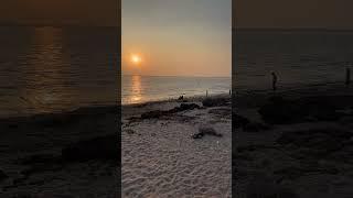 Porbandar Chopati Beach #porbandar #beach View