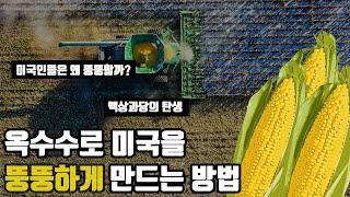 미국을 전세계 비만율 1위로 만든 음식 또는 곡물 또는 산업