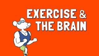Exercise and the Brain