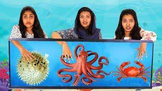 WHAT’S IN THE BOX UNDERWATER CHALLENGE  | നല്ല എട്ടിന്റെ പണികള്‍ | PULLOTHI