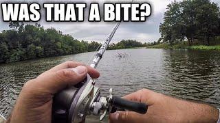 Do you know when you have a "BITE"? (Fishing Tips for Beginners)