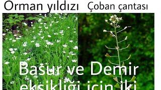 Kansızlık ve demir eksikliği çekenler ve hemoroid sıkıntısı yaşayanlar için müjde.