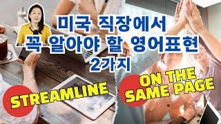 미국 직장에서 꼭 알아야 할 영어표현 2가지 streamline / on the same page #영어회화 #영어표현 #영어공부