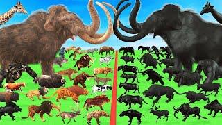 Prehistoric Mammals VS Shadow Itself Mammals Size Animal Epic Battle Woolly Mammoth vs Shadow Mammot