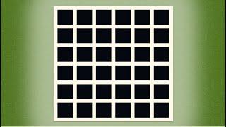 Minecraft - Optical Illusions 2