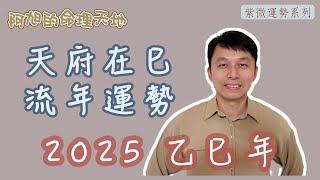 【紫微斗數】天府在巳 流年運勢｜2025 乙巳年