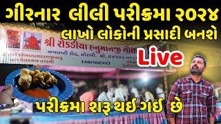 Live Girnar Lili Parikrama | Girnar Parikrama 2024 | Live Girnar Parikrama | Milan Danidhariya