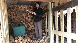 Splitting Hauling and Stacking Firewood in the Upgraded Wood Shed (93)