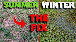 Lawn Hard in Summer and Wet in Winter... Watch This now!