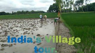 #India's #Farmer #Lifestyle And #Village Tour || Village Social Trip ||#villagefood