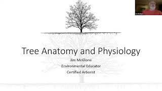 Tree Anatomy and Physiology: Tree Steward Training Sept. 12, 2023