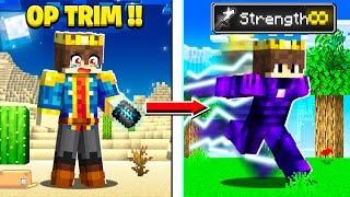 Minecraft But You Can CRAFT SUPER OP TRIMS !!