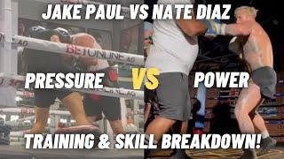 Jake Paul vs Nate Diaz SIDE By SIDE Training & Skill Comparison!! Can Nate Win??
