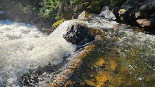   STOP Everything! This 4K Waterfall Will Leave You Breathless! #natureescape