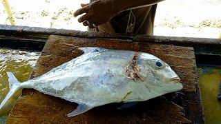 Amazing Giant Trevally Fish Cutting In Maldives Fish Market | Indian Ocean Fish Cutting | Seafood