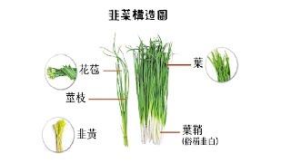 20230901 解大盤、凌陽(有人敲碗)、創意(有人敲碗)、橘子(有人敲碗)。