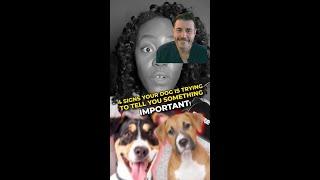 Dr Evan - are these dog signs true?!