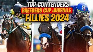 Top Contenders for the 2024 Breeders’ Cup Juvenile Fillies | Who Will Dominate?