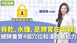 唇乾、水腫，是脾胃在求救！健脾養胃4個穴位和湯飲最給力︱羅珮琳 中醫師【早安健康】