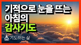 아침기도 ㅣ 하루를 시작하는 기도 ㅣ 감사기도 ㅣ기적의 기도ㅣ기적으로 눈을 뜨는 아침의 감사기도 ㅣ 말씀묵상 ㅣ 기도하는 삶