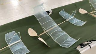 Pesawat Tenaga Karet Limited Penny Plane Fun Fly