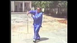 Yang Zhen Ji - Yang Sword Form