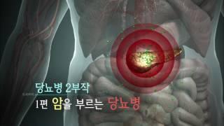 생로병사의 비밀 - 암을 부르는 당뇨병 1.20170614