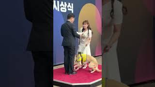 [날아라 예지! 달려라 태백!] ⭐⭐⭐⭐⭐킁킁킁 수상하다⭐⭐⭐⭐⭐ #shorts