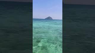 Coral and phi phi island #thailand #pattaya #beach #relaxing #vacation #island #thailandinsider
