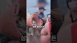 10분 만에 거대 참다랑어를 낚는 천재적인 방법