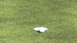 Zach Johnson's Birdie Putt Deflects Off Jordan Spieth's Coin