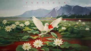 KSHMR, Bhavya Nisar - Pahalgam (feat. Mir Iqbal)