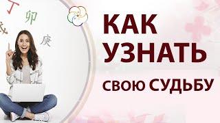 БАЦЗЫ для начинающих: Как узнать свою Судьбу