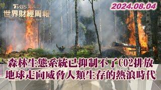 森林生態系統已抑制不了CO2排放 地球走向威脅人類生存的熱浪時代 TVBS文茜的世界財經周報 20240804