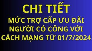 Chi tiết mức phụ cấp ưu đãi người có công với cách mạng từ 01/7/2024