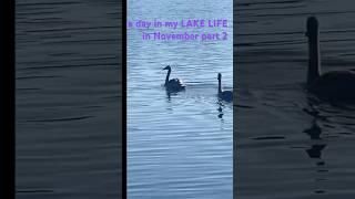 a day in my LAKE LIFE in November part 2! #lake #lakeliving #lakelife #newenglandliving