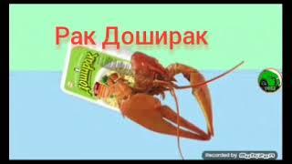 Рак Доширак (оригинальная версия)