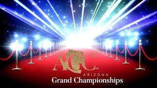 2024 Fred Astaire Arizona Grand Championships: Professional Ballroom Dance Divisions