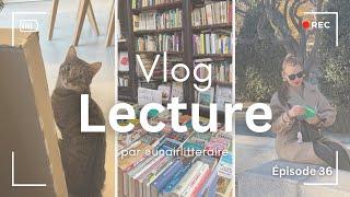 VLOG LECTURE épisode 36 - Déception, cadeaux et achats 