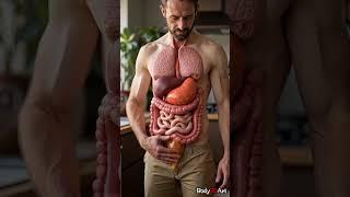 Digestive System Animation | Human Anatomy 36