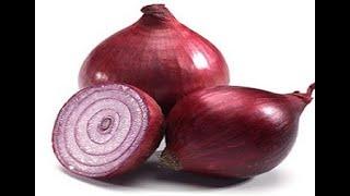 SPIRITUAL PURPOSE OF ONION- PROPHET MOSES, GREAT POWER MINISTRY