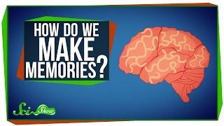 How Do You Make Memories?