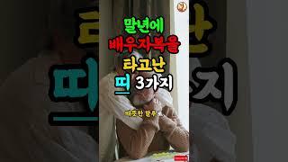 말년에 배우자 복을 타고난 세가지 띠 #운세 #궁합 #띠궁합 #사주