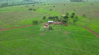 Fazenda à venda em Carneirinho com 40 alqueires mineiros - Triangulo Mineiro - Minas Gerais