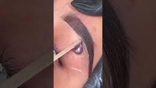 Brow Lamination + Tint  #eyebrowtutorial #browlamination #explore #lasvegas #bayarea